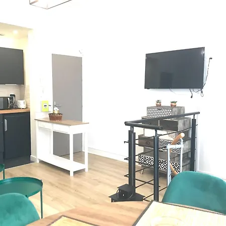 Le Dome 2 - Face Thermes - Souplex - Hypercentre Apartment Vichy